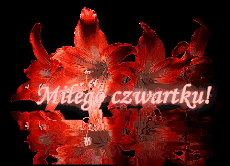 Kwiaty w wodzie miłego czwartku